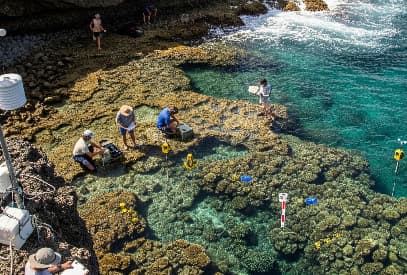 AUV underwater vehicle mapping reef