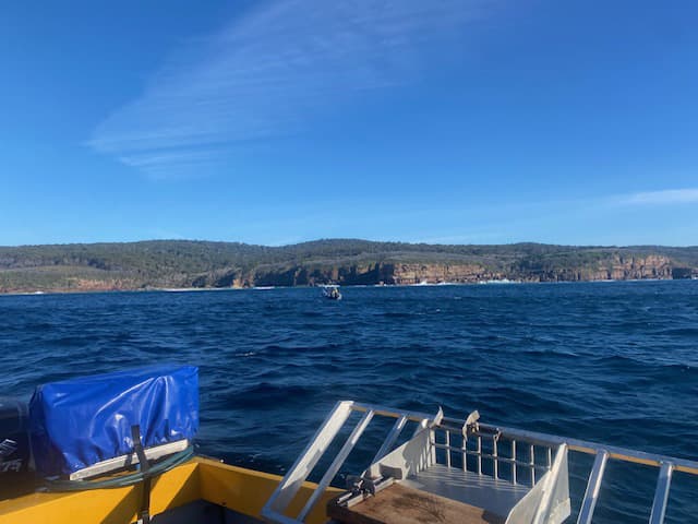 Diving around East Australian coastline