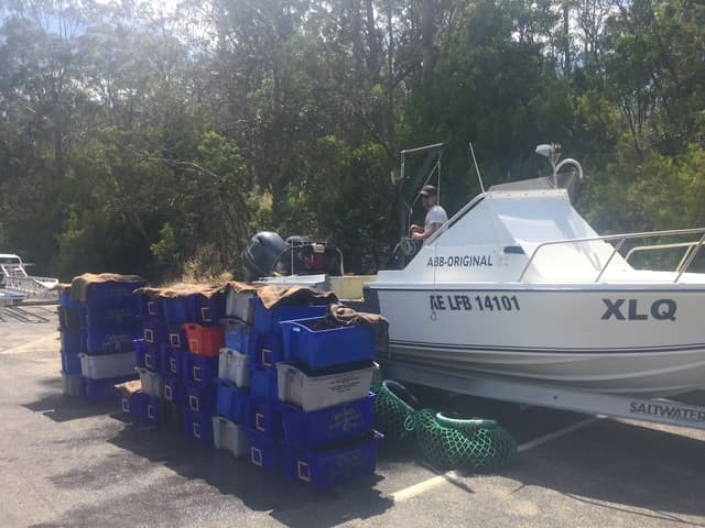 Boat loaded with catch near shore